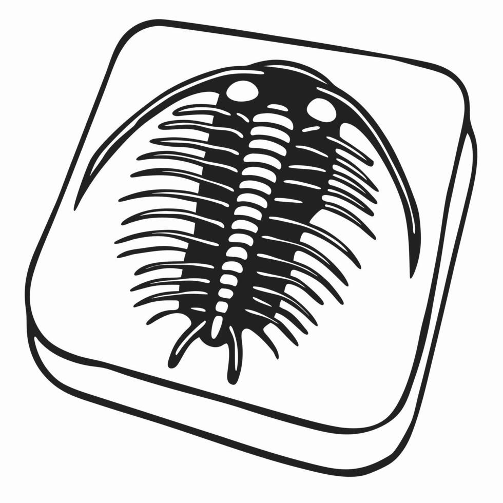 trilobite fossil illustration, black and white prehistoric marine arthropod, extinct invertebrate silhouette vector