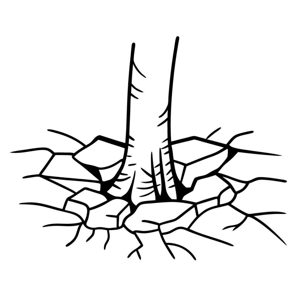 Tree root breaking through cracked ground illustration vector