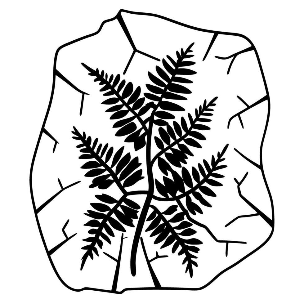 Black fern fossil illustration on cracked background highlighting history and nature vector