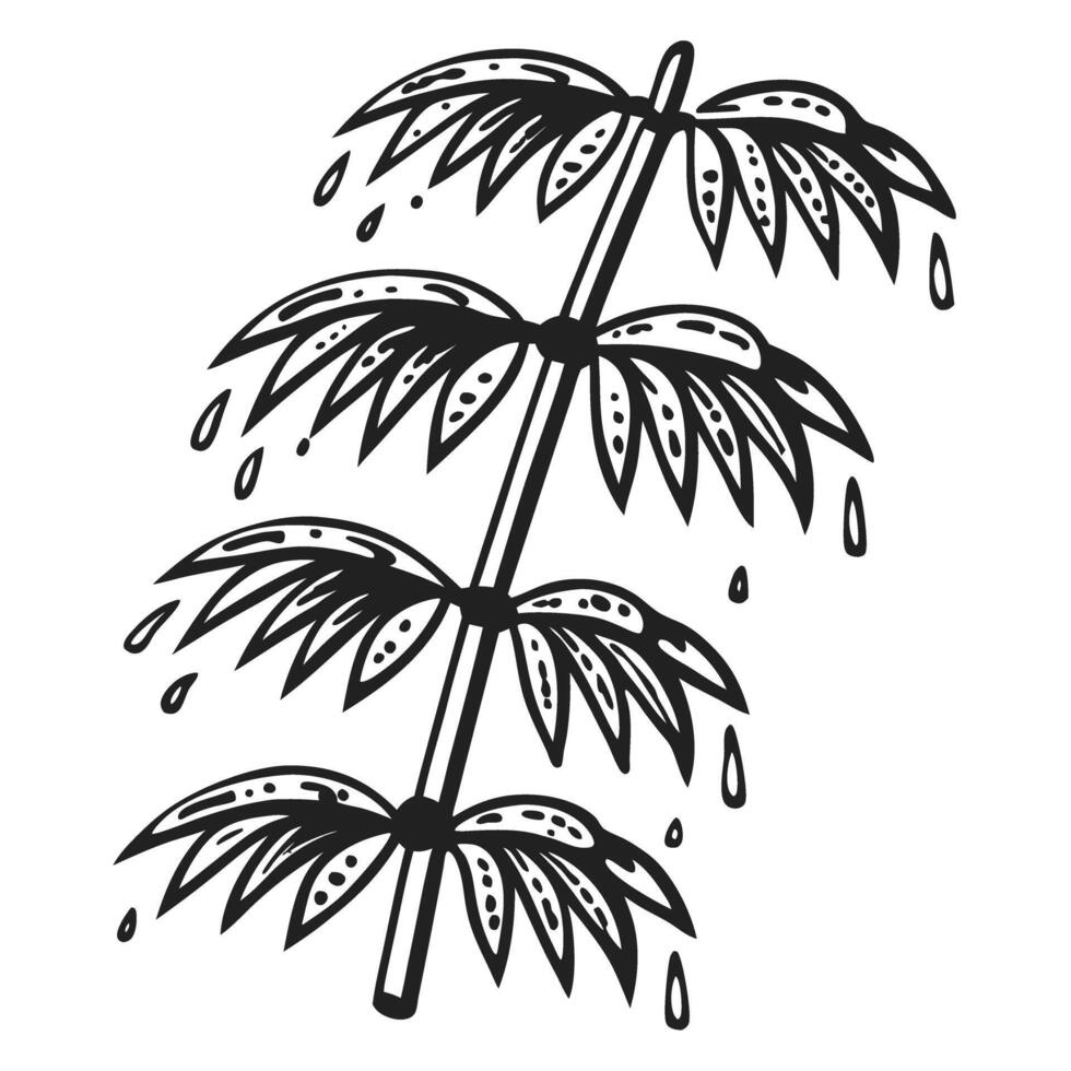 Monochrome tropical palm leaves artwork with water droplets, nature inspired illustration vector