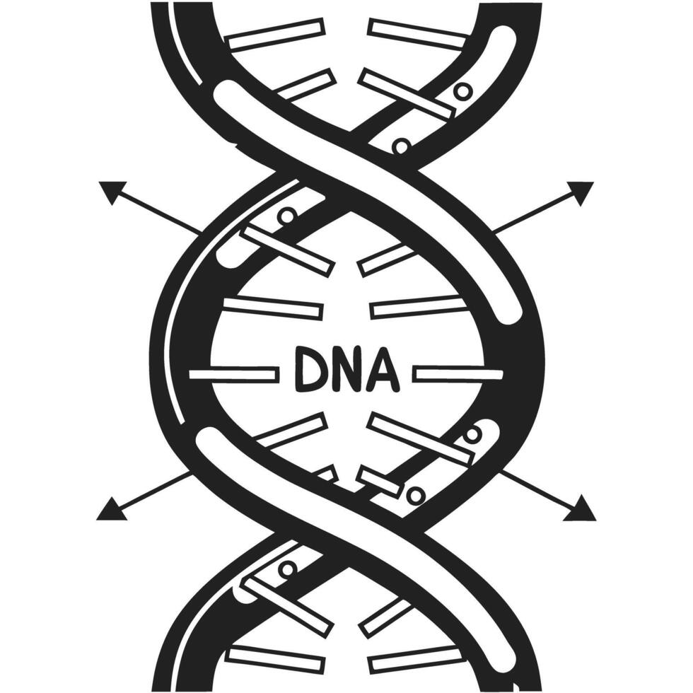 Dna helix structure with labeled base pairs and arrows indicating genetic information flow molecular biology concept illustration vector