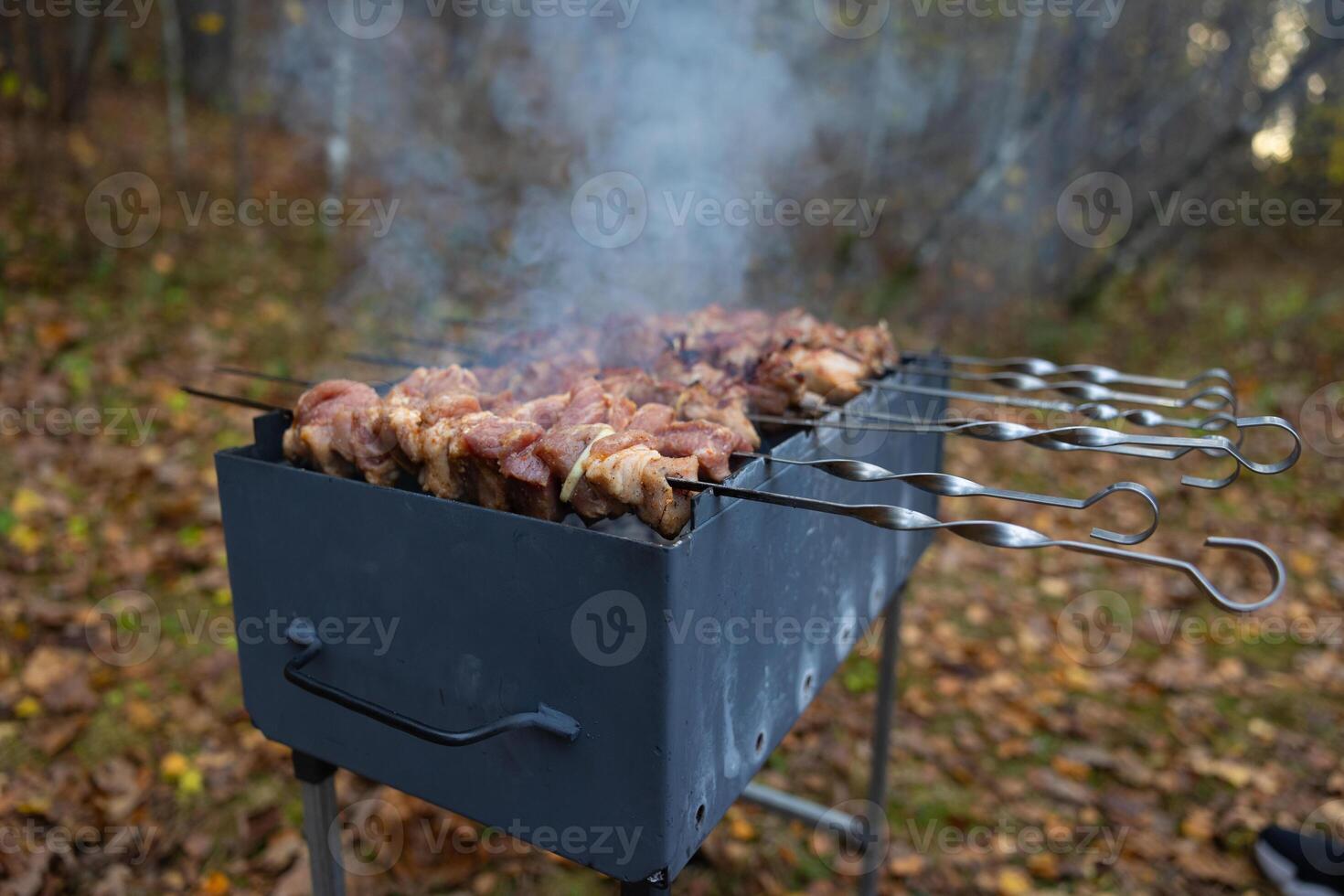 Skewered marinated meat grilling on a charcoal barbecue with smoke rising in outdoor forest setting. Picnic and barbecue cooking concept. photo