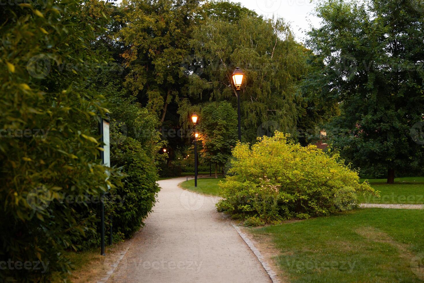 Winding park pathway with illuminated street lamps surrounded by lush greenery and trees at dusk. Evening park scenery and urban nature concept photo