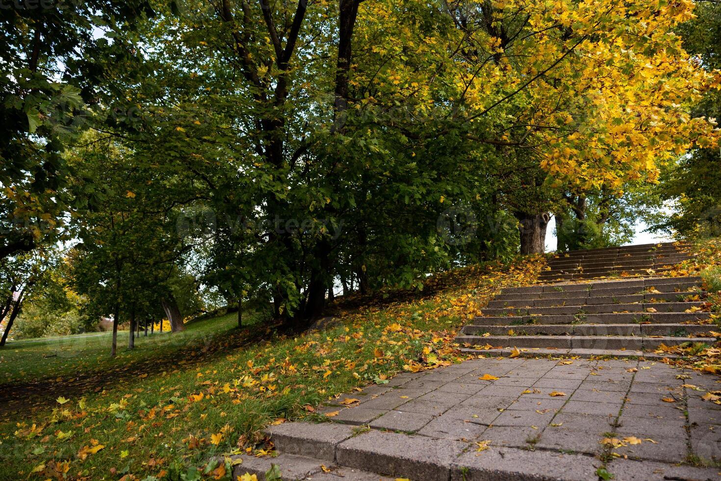 Stone stairs covered with fallen autumn leaves in a park surrounded by trees with yellow and green foliage. Autumn season and nature concept photo
