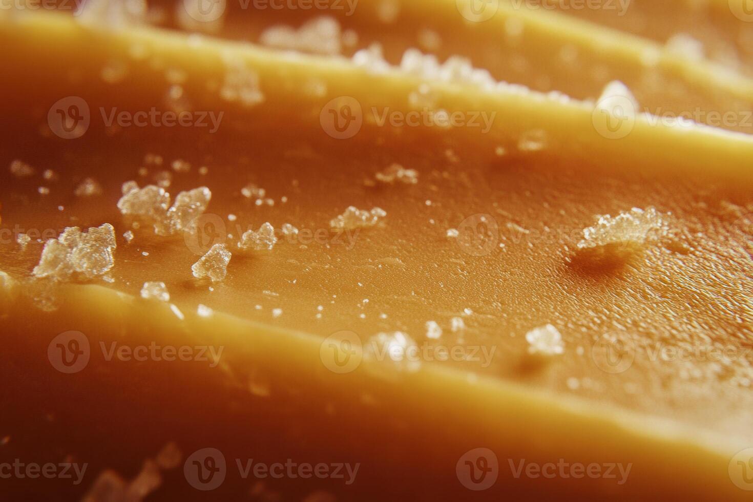 Close-up of gouda cheese with crystalized salt details photo