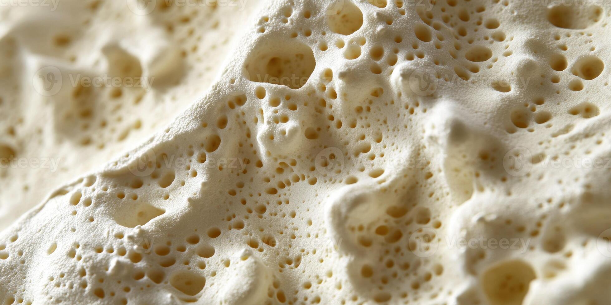 Texture of soft cheese showcasing unique porous structure photo