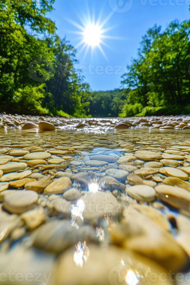 Sunlight reflecting on clear river water and pebbles with green trees photo