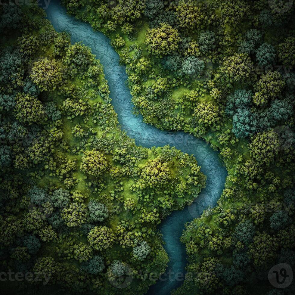 An aerial view of a river in the forest photo