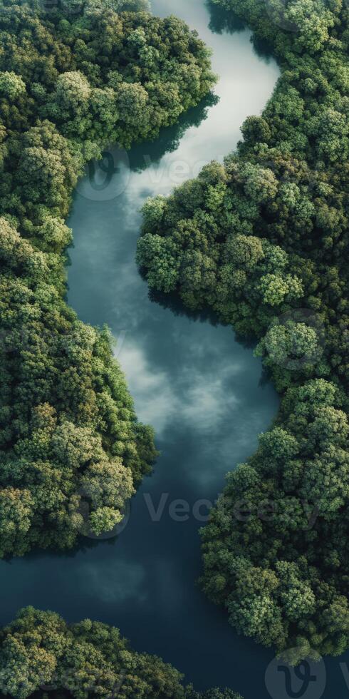 A river flowing through a forest with trees photo
