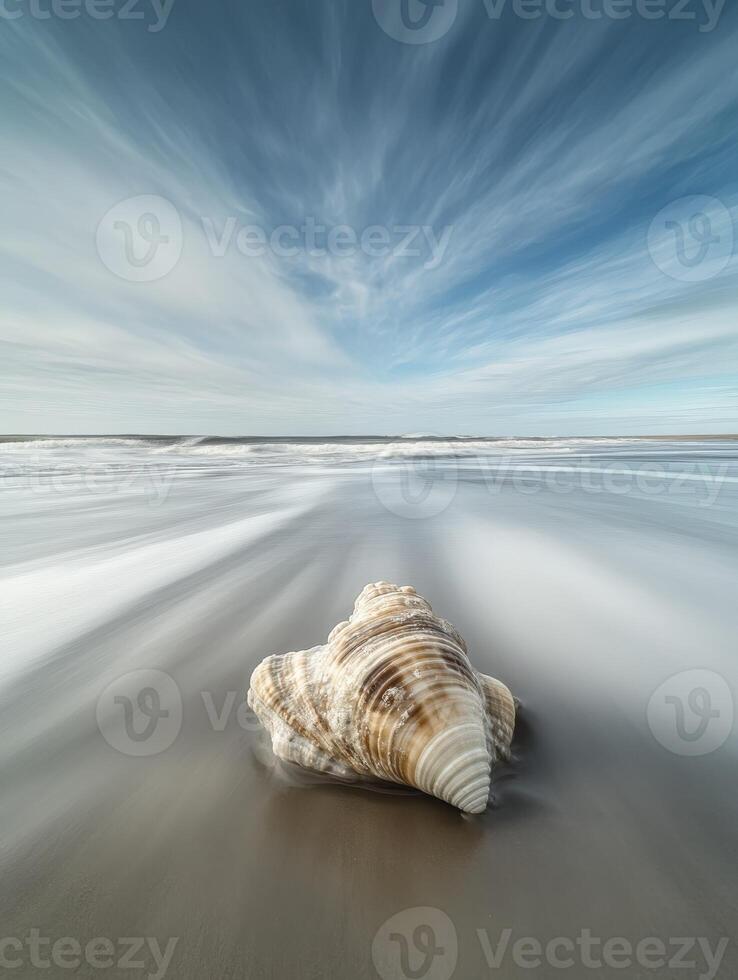 Shell resting on smooth sand with waves approaching at the beach photo