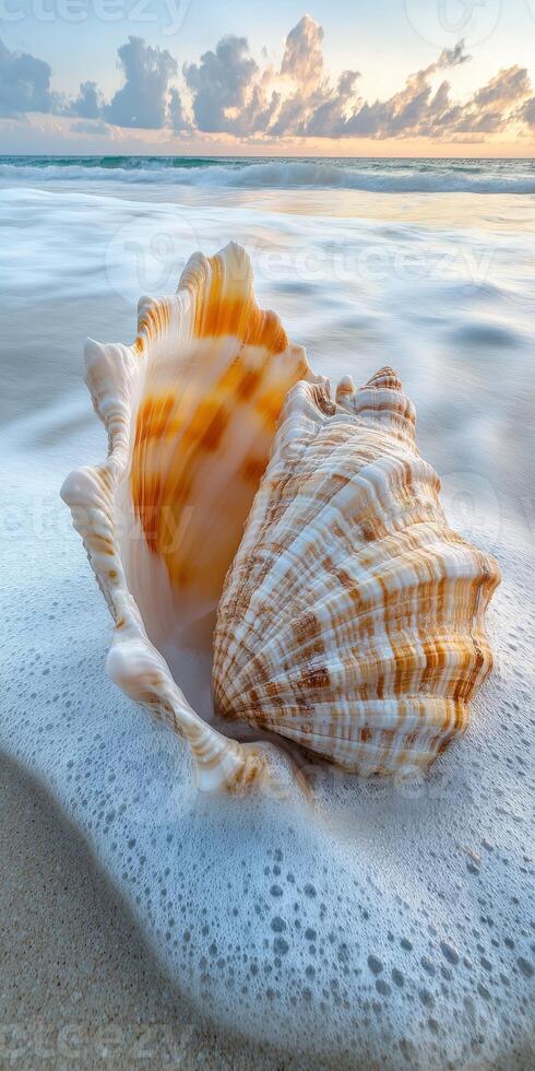 A shell on the beach with waves and sky photo