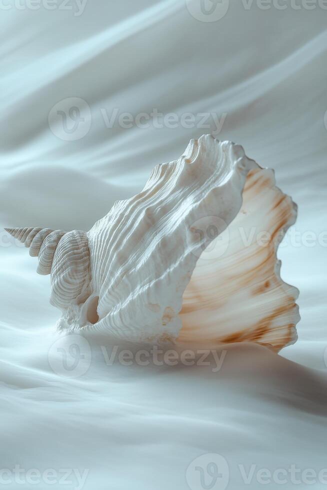 Intricate seashell resting on soft, flowing fabric photo