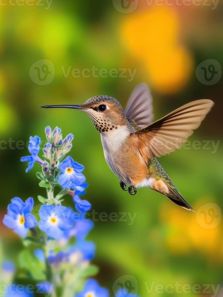 Dynamic hummingbird hovering near vibrant blue flowers in a colorful garden during springtime photo
