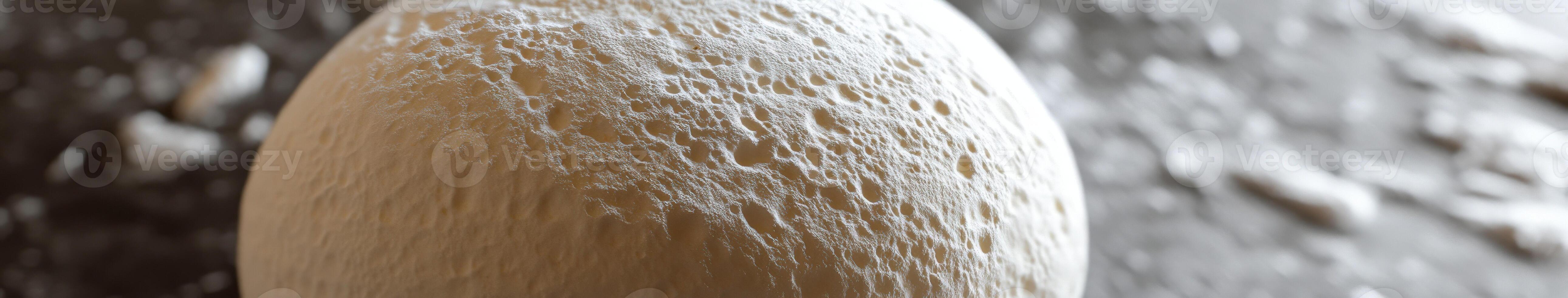 Fresh mozzarella placed on a rustic wooden surface, perfectly prepared for use in a variety of culinary dishes photo
