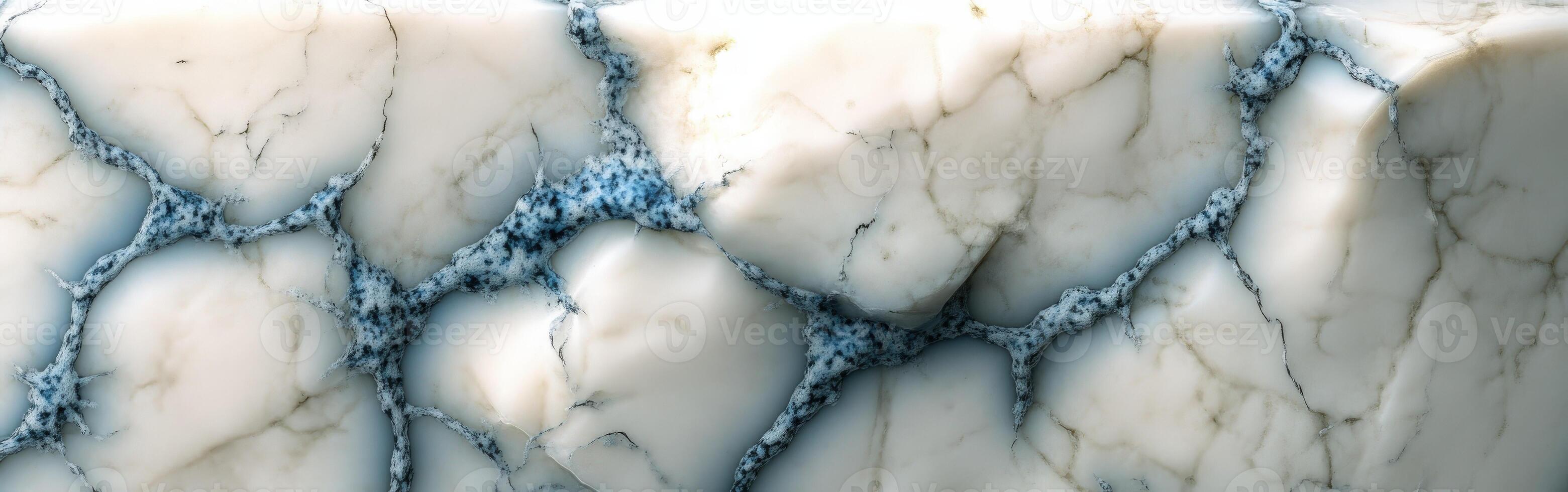 Detailed close-up highlighting the unique blue cheese texture with intricate marbling in a creamy base situated against a neutral background photo