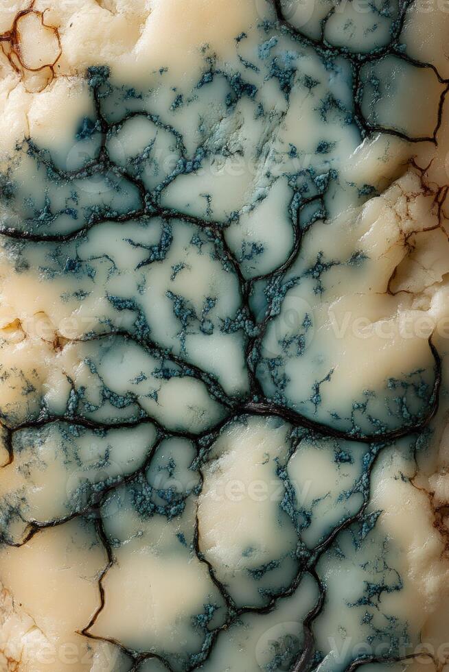 Unique blue cheese texture showcases intricate mold patterns and creamy variations in color perfect for culinary exploration photo