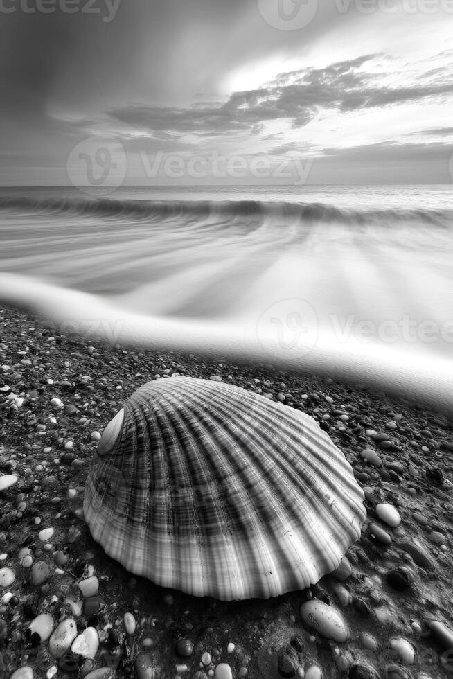 Beautiful shell rests on pebbled beach as gentle waves lap against the shore at dusk photo