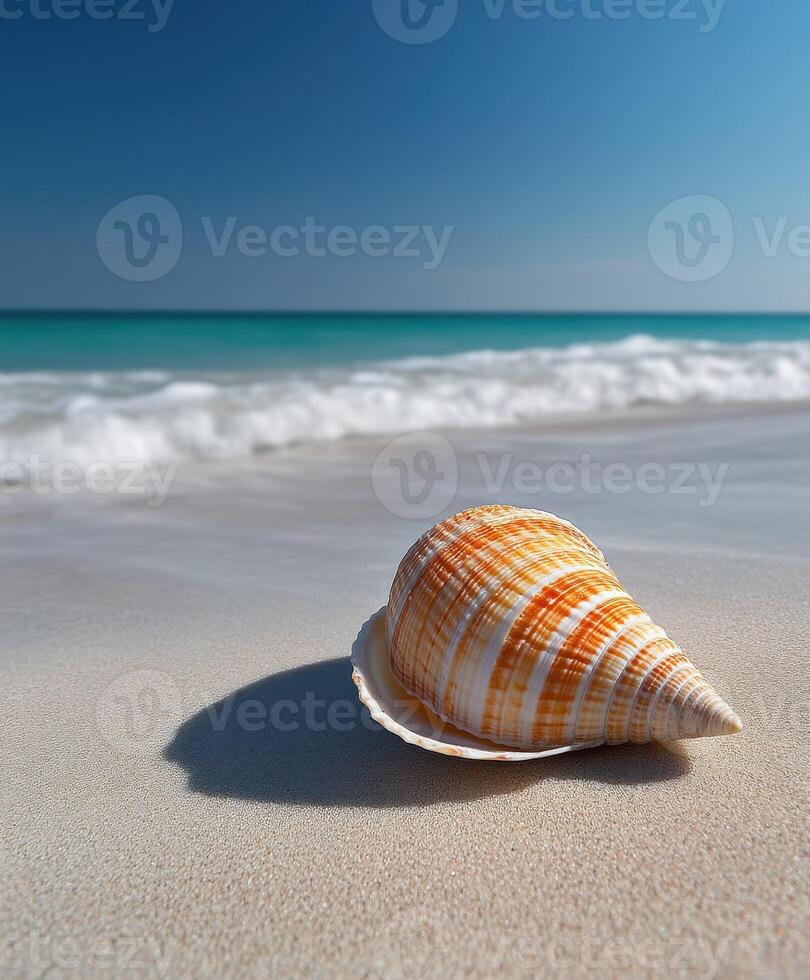 Beautiful conch shell resting on the sandy beach with gentle waves in the background on a sunny day photo
