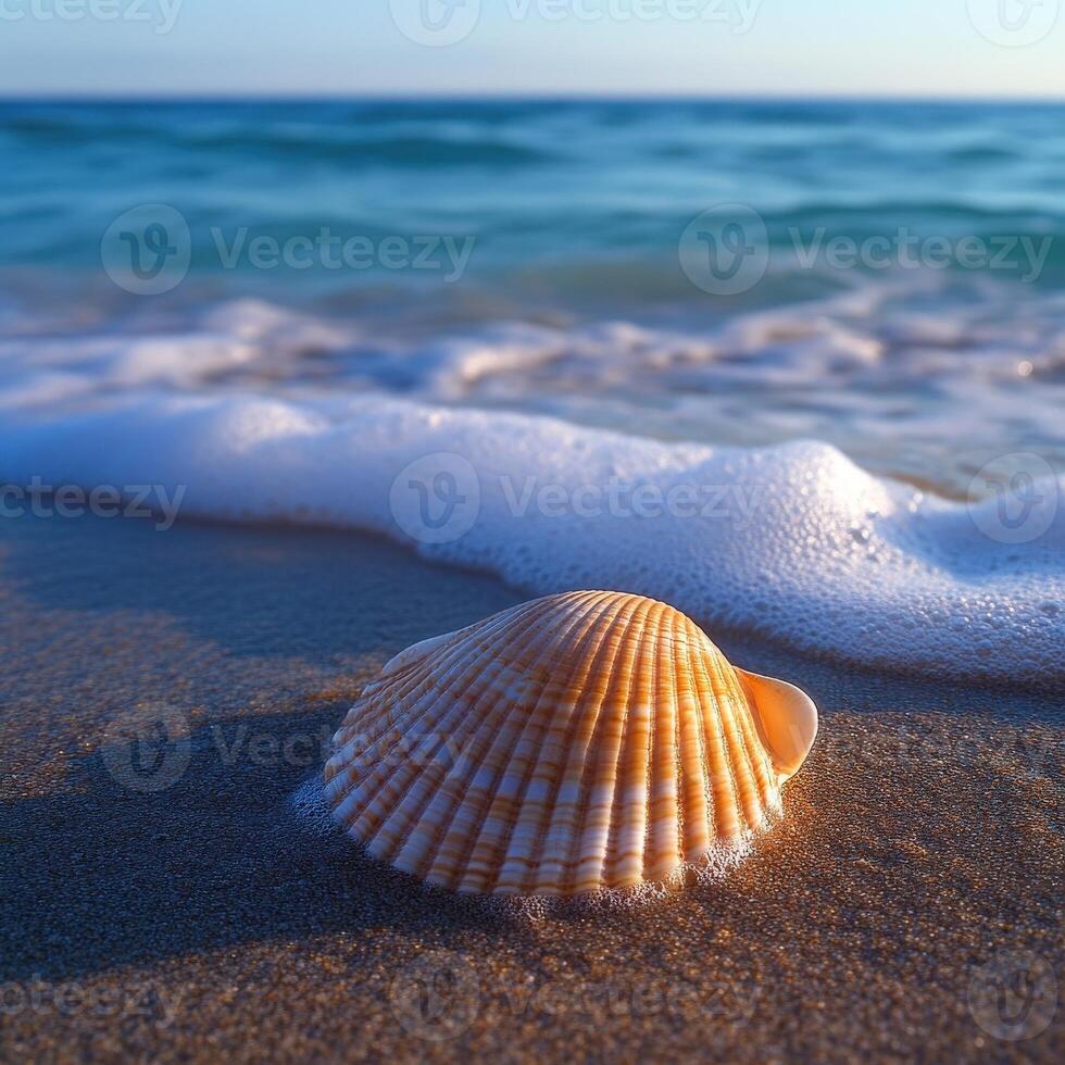 A shell on the beach with waves and ocean photo