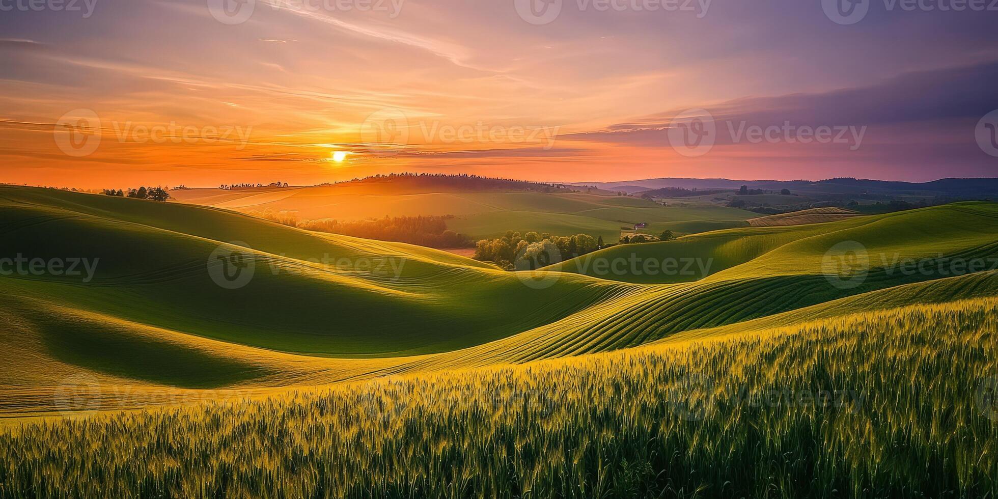 Golden sunset over rolling hills photo