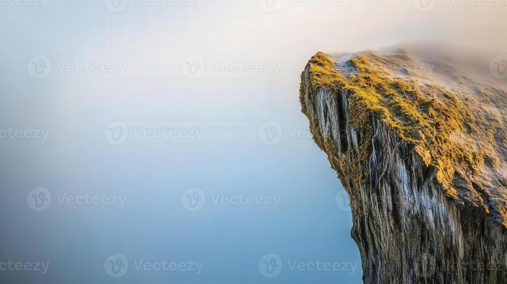 Stunning tree trunk at the cliff photo