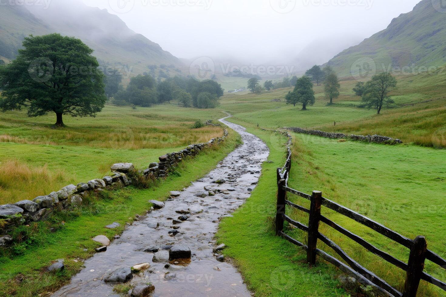 Rocky path winding through green fields in Lake District National Park photo