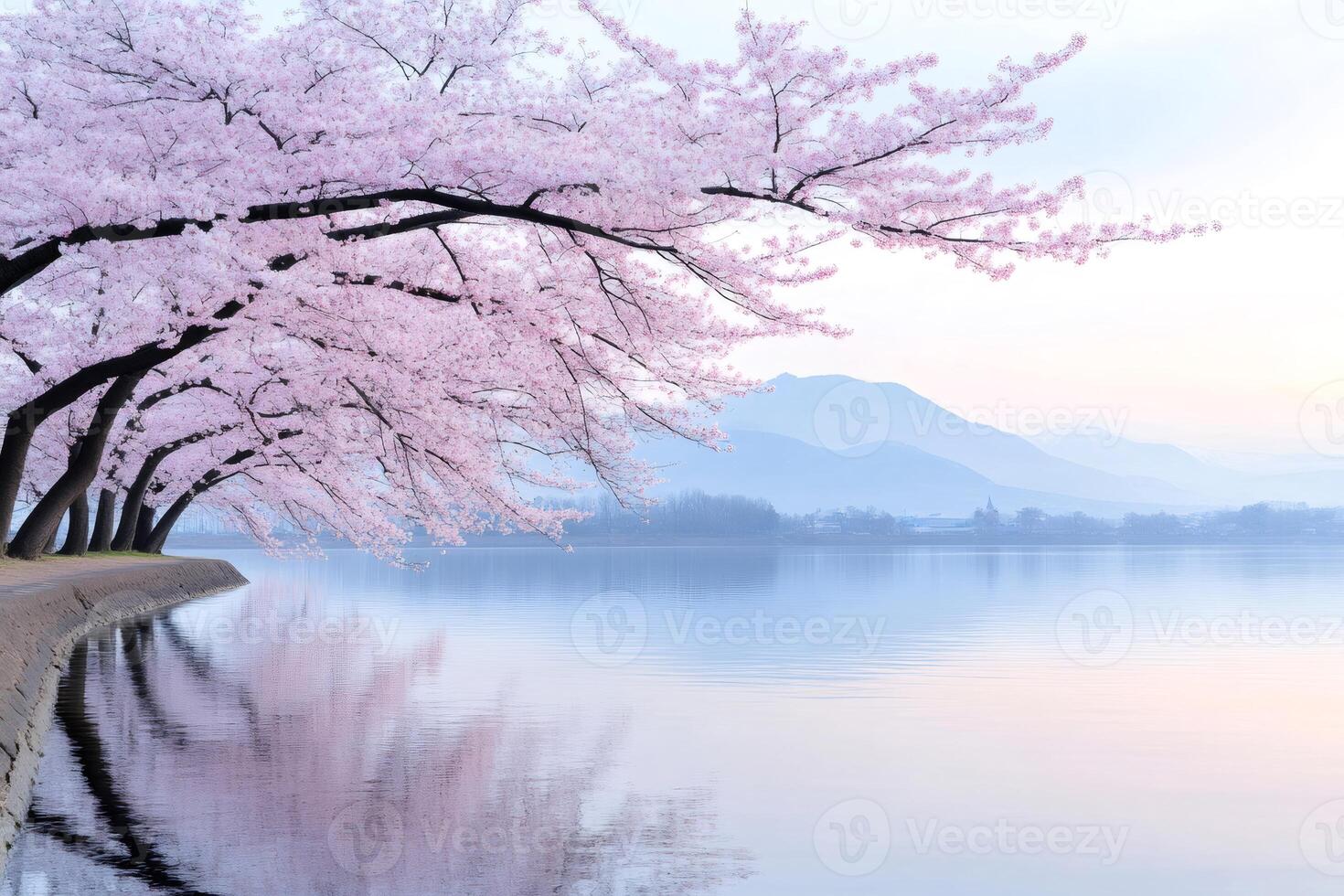 Blooming cherry trees reflected on the Kawaguchiko lake at dawn with Mount Fuji in the background photo