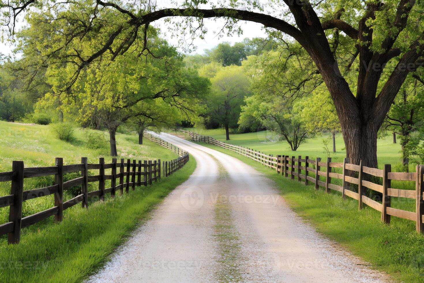 Winding gravel road passing through green fields and trees in spring photo