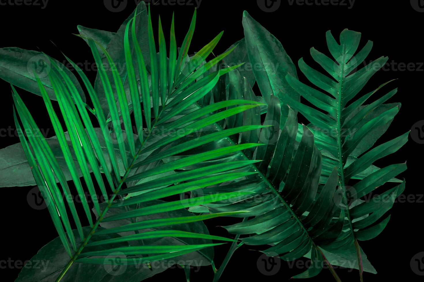 Leaf dark green tone tropical nature background. photo