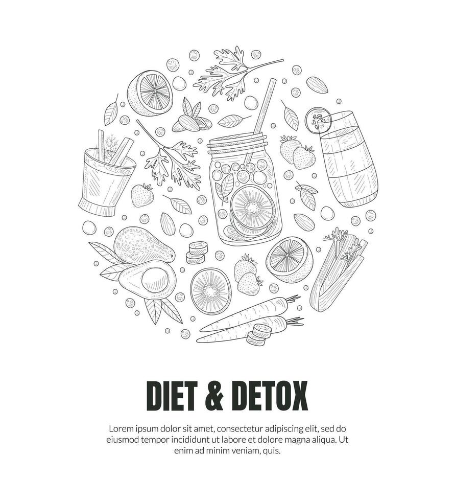 Circle with the contours of healthy fruits. illustration. vector