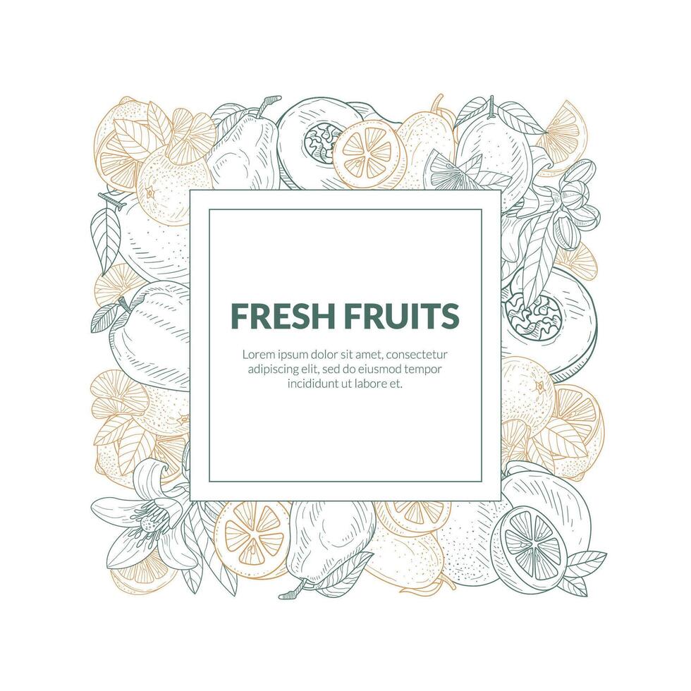 Square frame from the contours of different fruits. illustration. vector