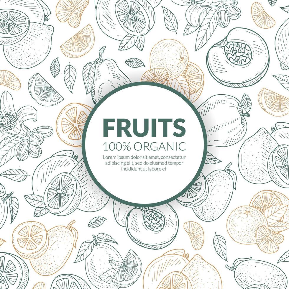 Circle with the inscription Fruit in the center of the pattern. illustration. vector