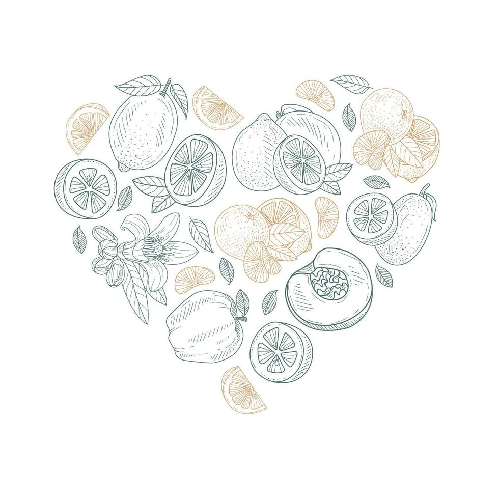 Heart shape pattern made from fruit contours. illustration. vector