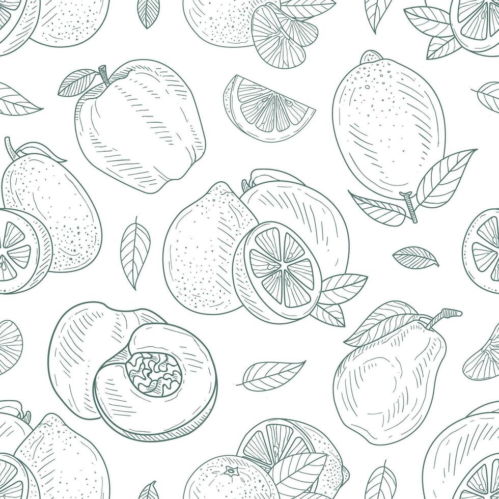 Seamless pattern of contours of apples, lemons, pears and peaches. illustration. vector