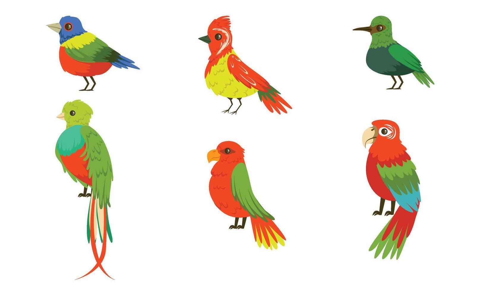 Tropical Birds Collection, Beautiful Birdies with Colored Plumage Illustration vector