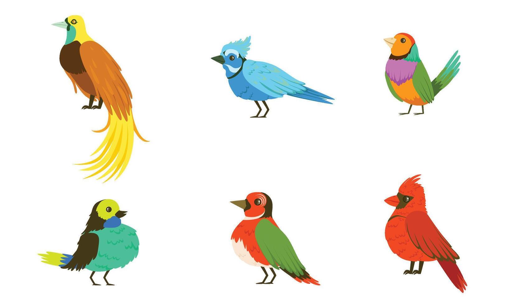 Tropical Birds Collection, Beautiful Birdies of Different Species with Colored Plumage Illustration vector