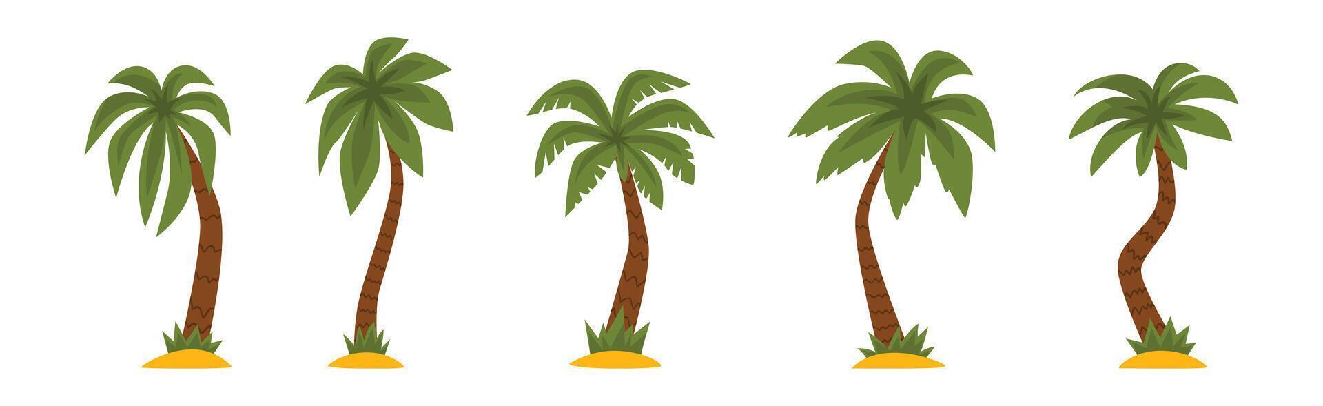 Palm Tree with Brown Trunk and Green Top Set vector
