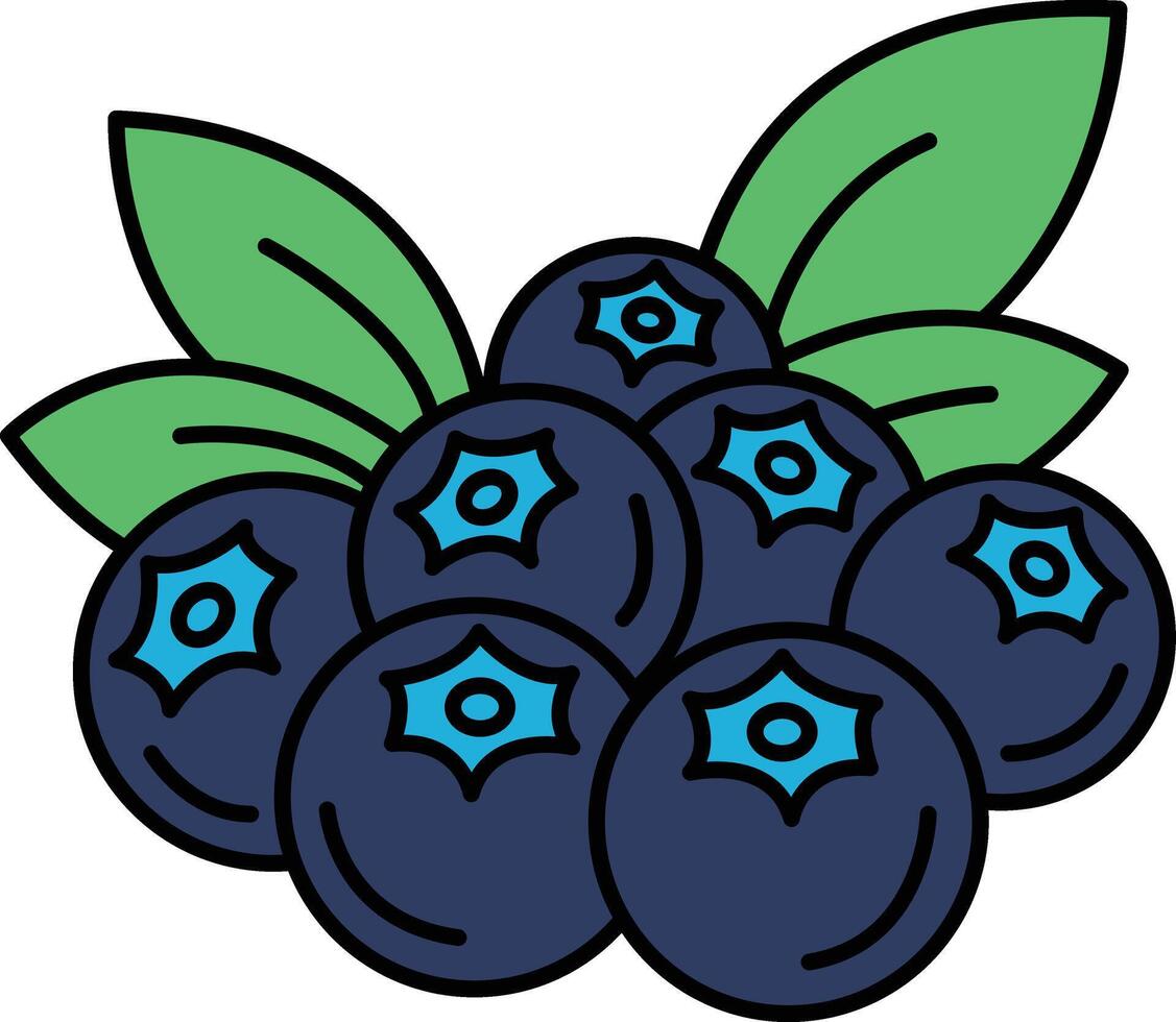 A close up of blueberries with green leaves vector