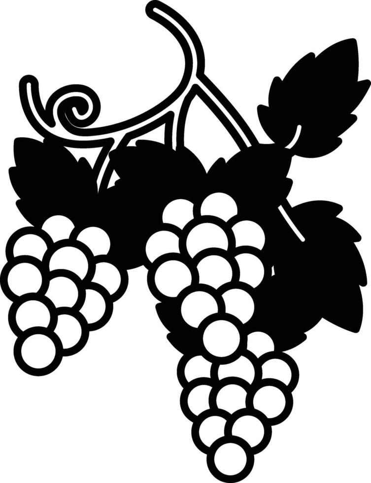 bunch of grapes with leaves vector