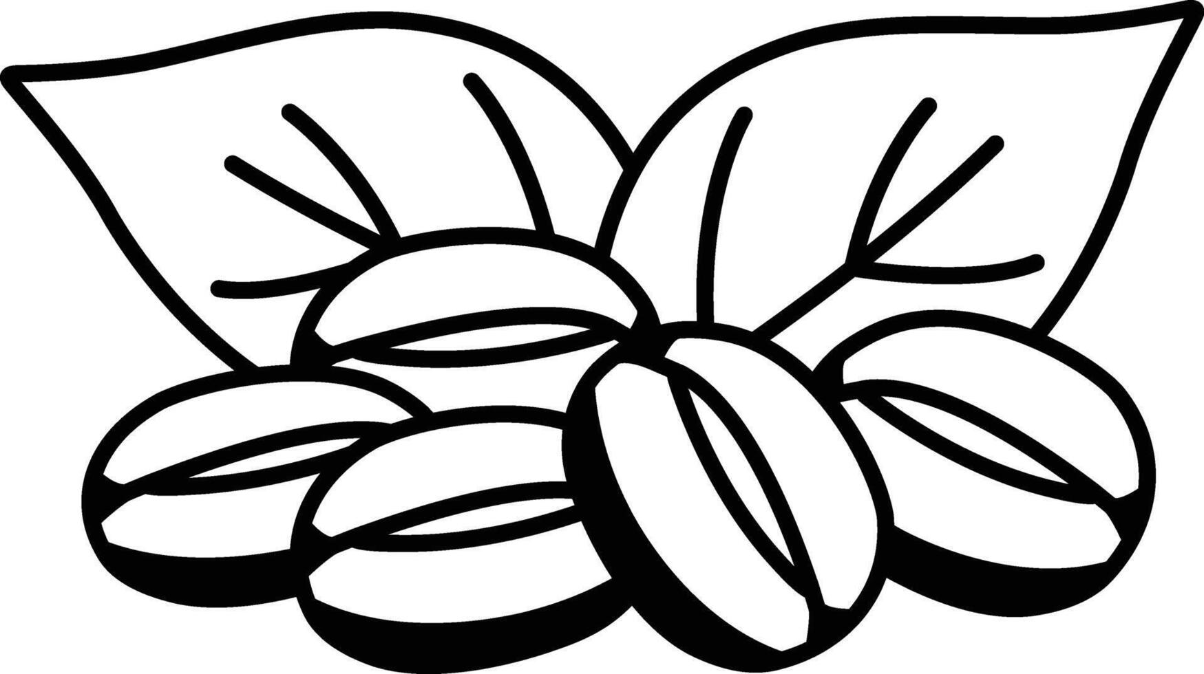 close up of coffee beans on a leaf vector