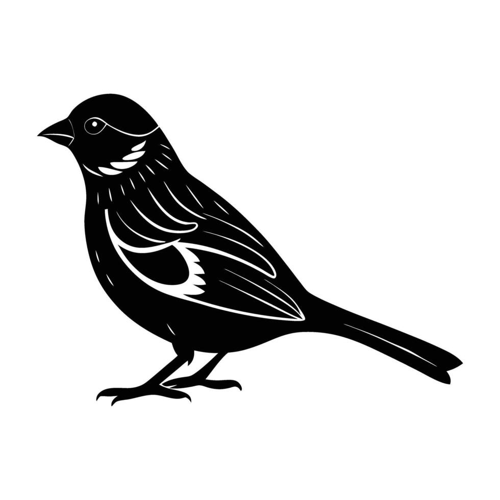 Sparrow standing with raised tail in a subtle urban bird display vector