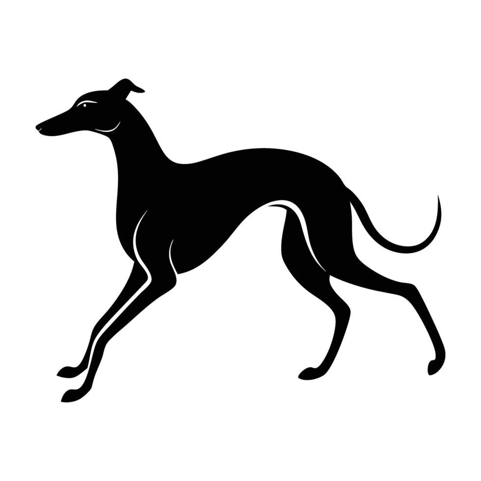 Whippet Sprinting with an Aerodynamic Body Captured in a Striking Silhouette vector