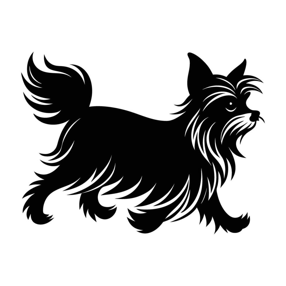 Vibrant Yorkshire Terrier Sprinting with Luxurious Silky Fur in a Dynamic Silhouette vector