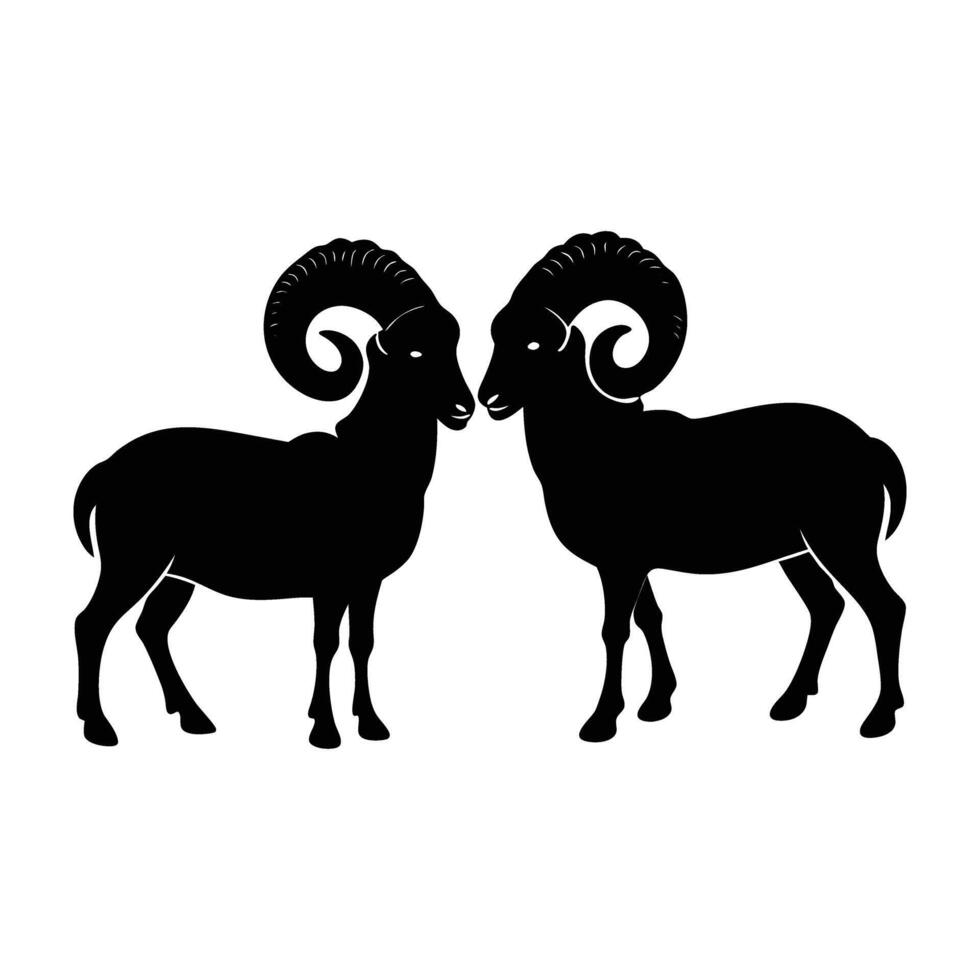 Ram engaging in head butting with another ram during a rugged contest vector