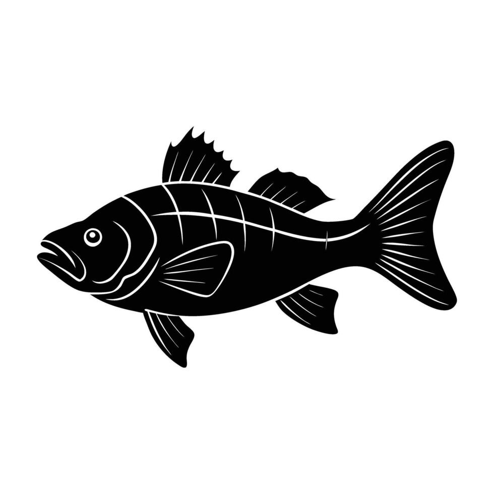 Robust Kelp Bass Swimming with a Slightly Curved Dorsal Fin in Motion vector