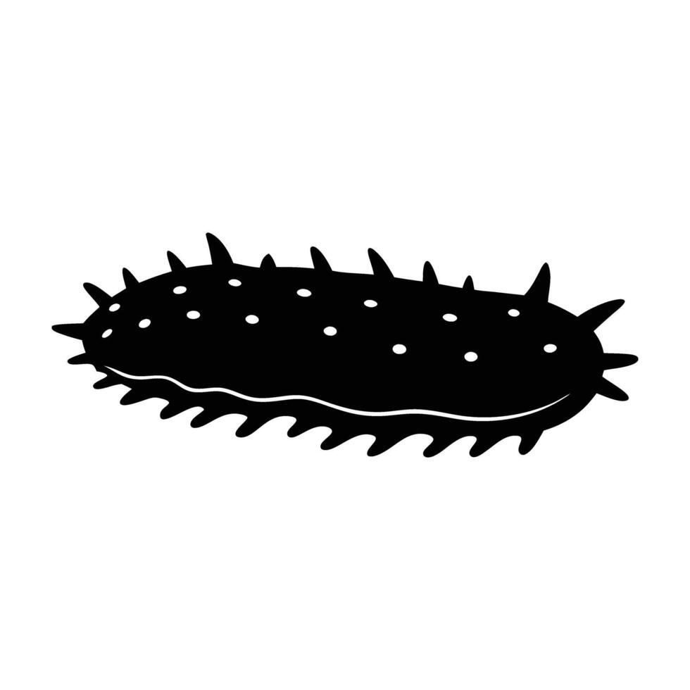 Sea cucumber resting flat on the ocean floor in quiet stillness vector