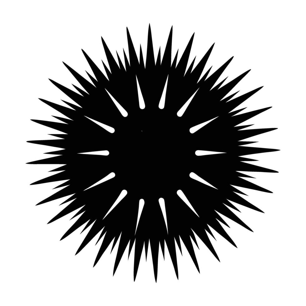 Sea urchin with pronounced sharp spines extending outward in vibrant display vector