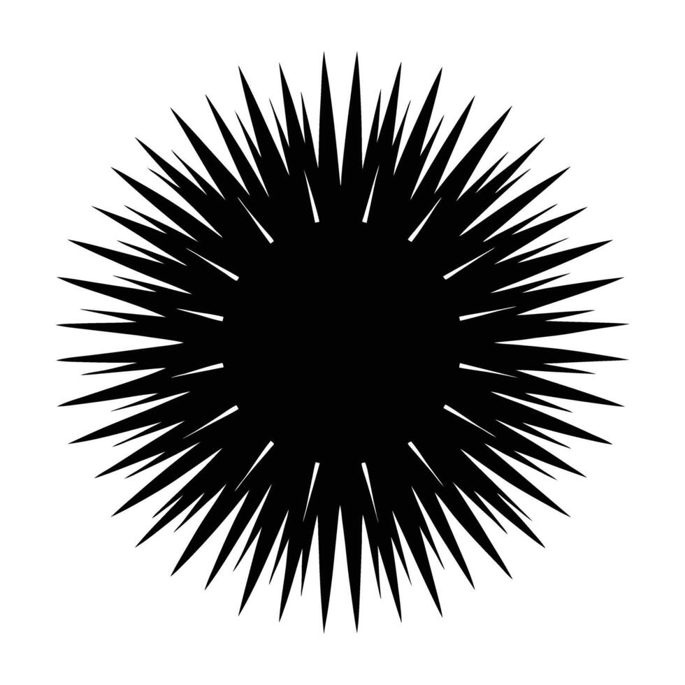 Sea urchin displaying sharp spines extending outward in a natural form vector