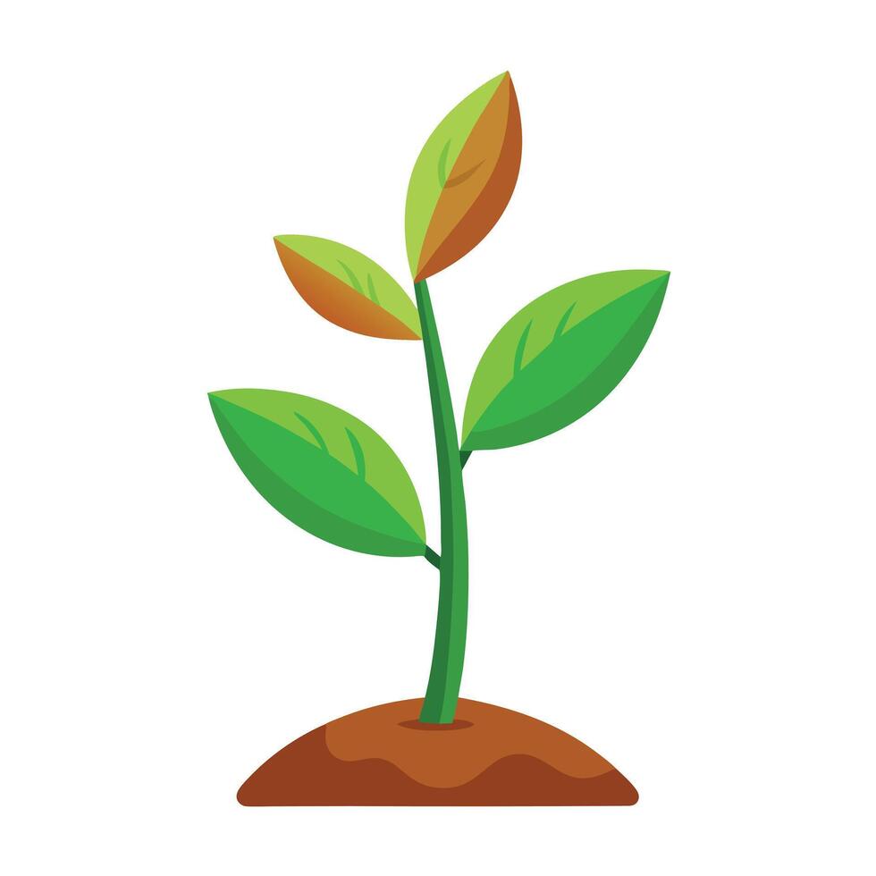 Plant Icon Sprouting Leaves and Isolated Background vector