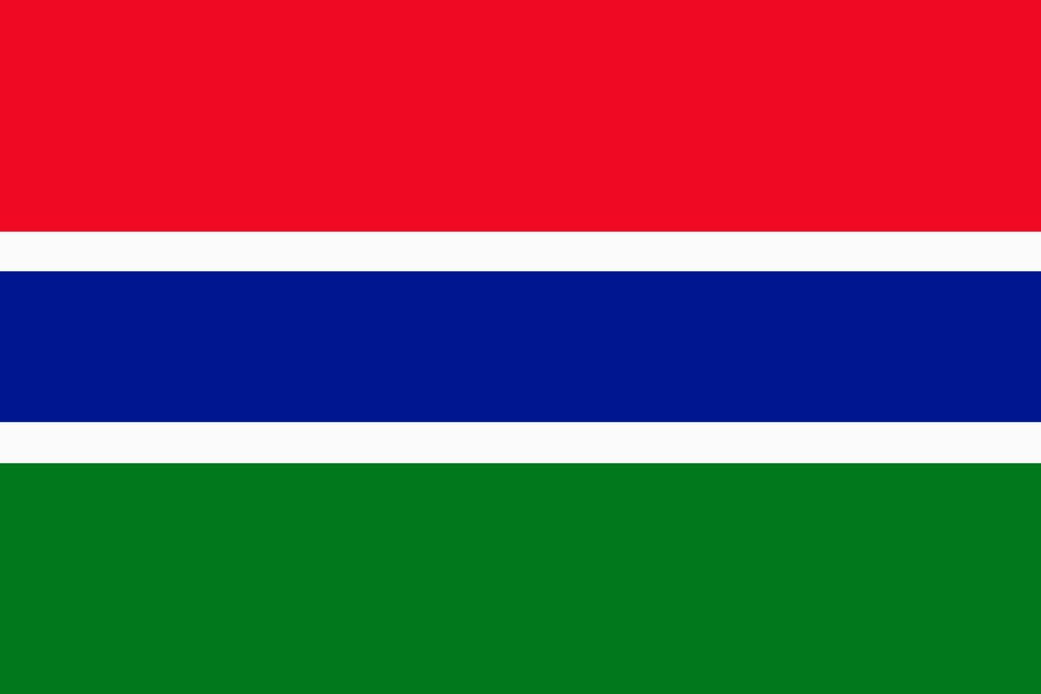 Gambia flag. Accurate dimensions and official colors. This file is suitable for digital editing and printing of any size. vector